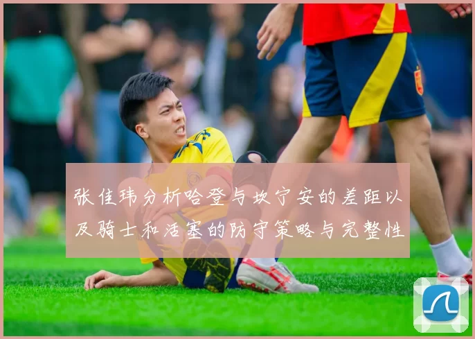 张佳玮分析哈登与坎宁安的差距以及骑士和活塞的防守策略与完整性
