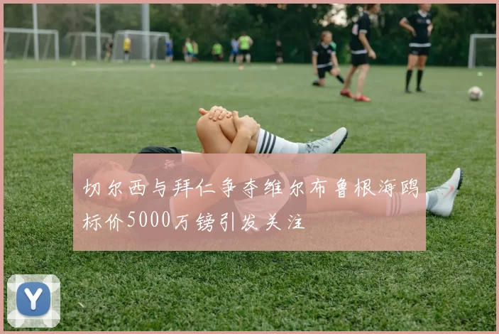 切尔西与拜仁争夺维尔布鲁根海鸥标价5000万镑引发关注